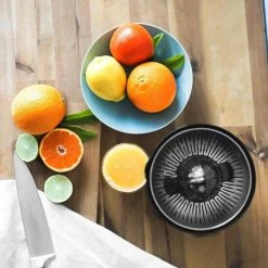 Am billigsten ❤️ Gastroback 41138 Home Culture Zitruspresse 🧨 -Gastroback Verkaufsladen unnamed file 376