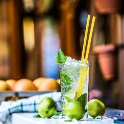 Am billigsten ❤️ Gastroback 41138 Home Culture Zitruspresse 🧨 -Gastroback Verkaufsladen unnamed file 377