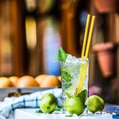 Angebote ⭐ Gastroback 41127 Eiscrusher 🧨 -Gastroback Verkaufsladen unnamed file 393